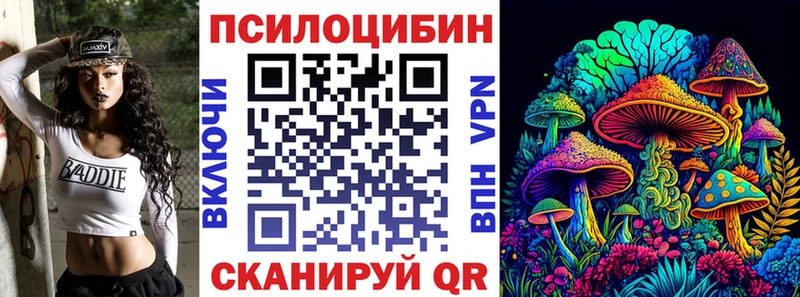 hydra ССЫЛКА  Тара  Псилоцибиновые грибы Cubensis 