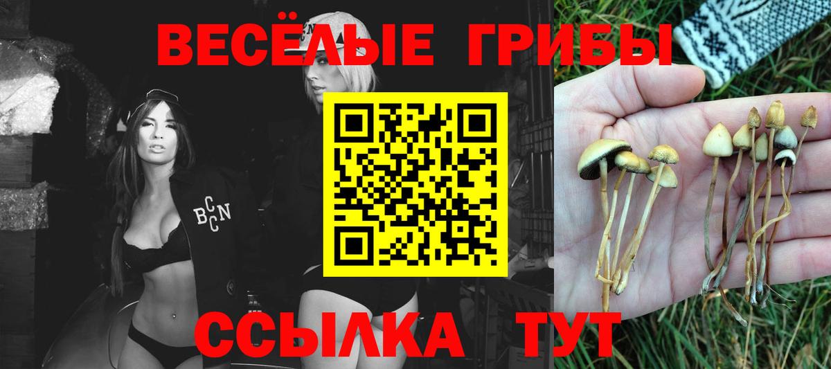 Тара  Галлюциногенные грибы Magic Shrooms  Вход с VPN 