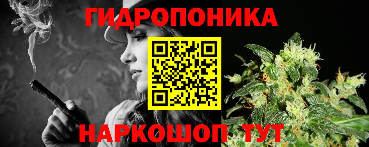 Конопля план  Бошки Шишки Bruce Banner  Тара  Бошки Шишки план  Вход с VPN  Каннабис тримм 
